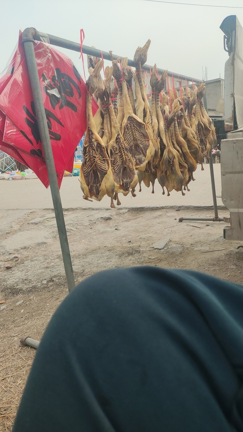 咸鸭小白鸭