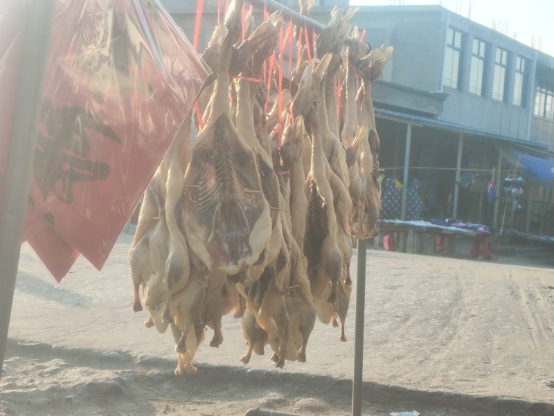 咸鸭小白鸭