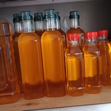 云南青刺果油品质保证诚信合作可批发零售欢迎下单