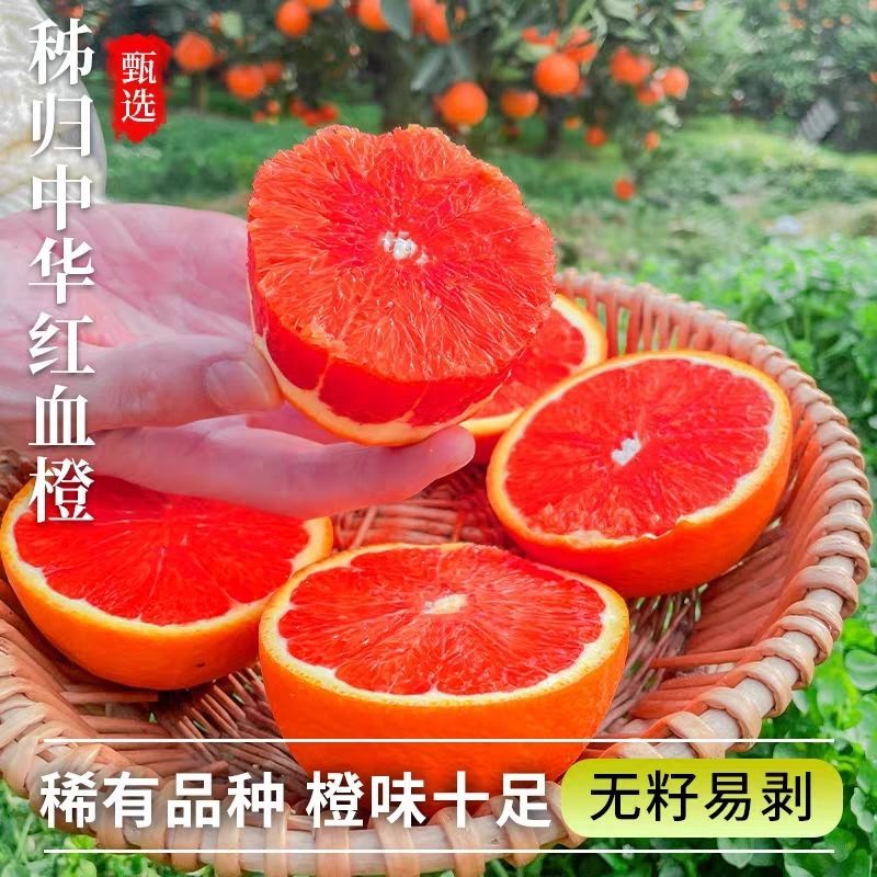 血橙产地货源，量大优惠，水分足，甜度高，对接全国市场电商