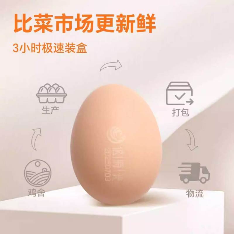 无抗可生食鲜鸡蛋