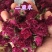 平阴玫瑰花蕾花冠