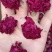 平阴玫瑰花蕾花冠