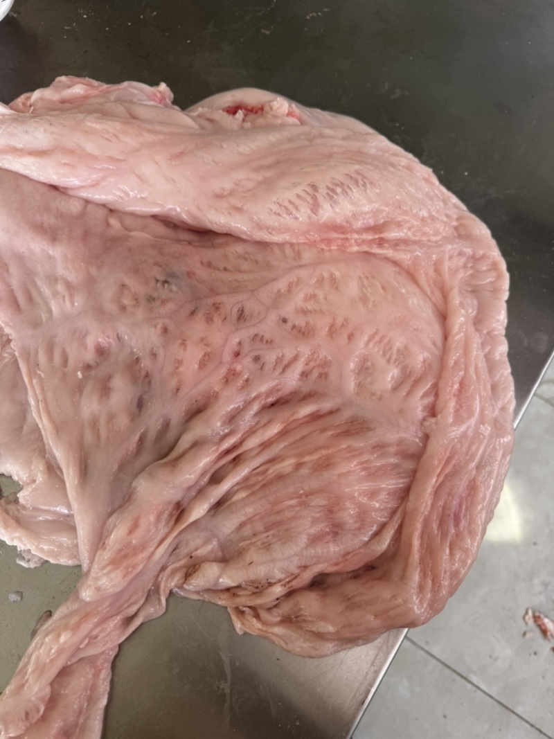 牛肚油