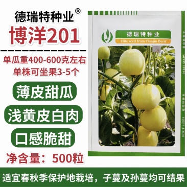 正宗博洋201甜瓜种子德瑞特甜瓜种籽早熟薄皮白肉高产20