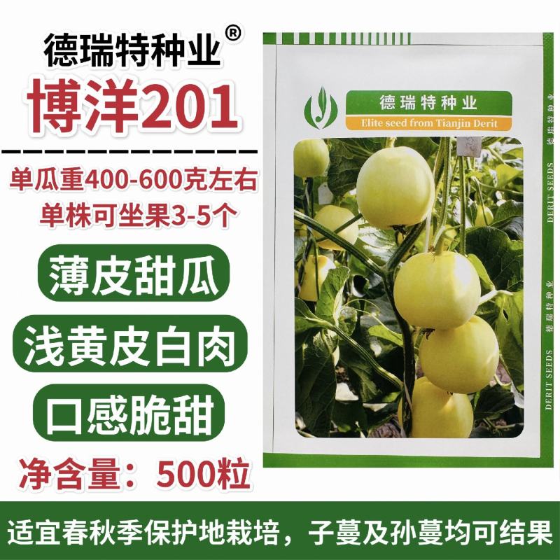 正宗博洋201甜瓜种子德瑞特甜瓜种籽早熟薄皮白肉高产20