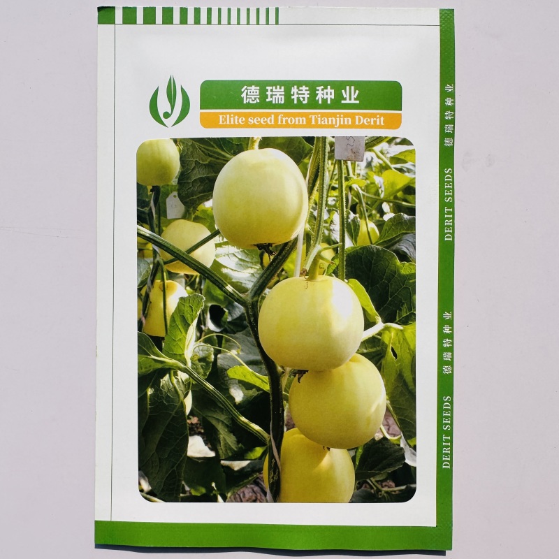 正宗博洋201甜瓜种子德瑞特甜瓜种籽早熟薄皮白肉高产20