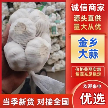 金乡大蒜源头批发品质保障价格优势长期供应