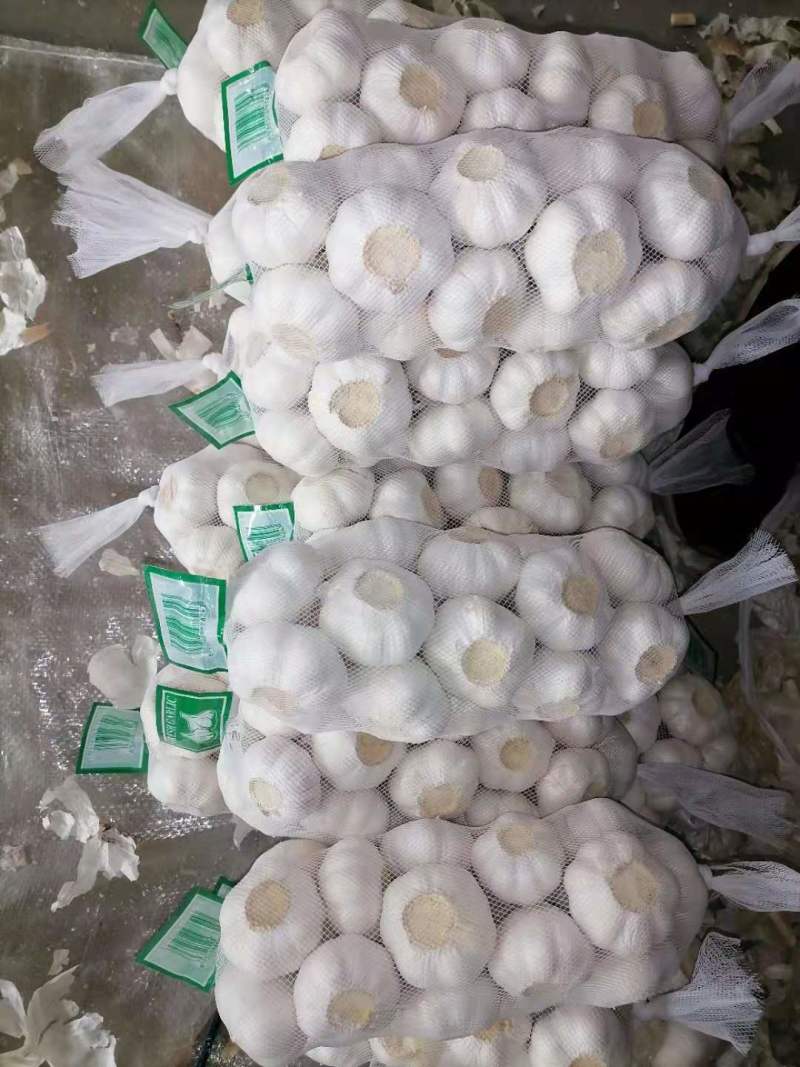 金乡大蒜源头批发品质保障价格优势长期供应