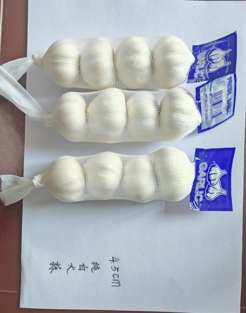 金乡大蒜源头批发品质保障价格优势长期供应