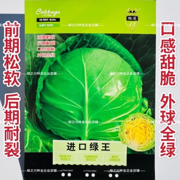 进口高抗绿王甘蓝种子口感甜脆外球全绿圆包菜种子松软耐裂