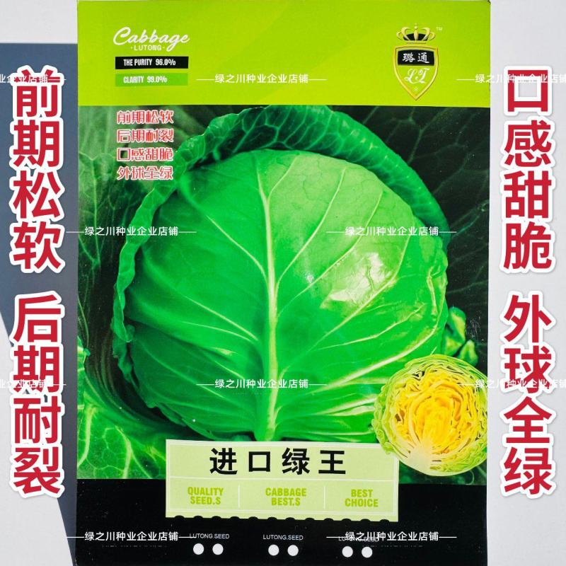 进口高抗绿王甘蓝种子口感甜脆外球全绿圆包菜种子松软耐裂