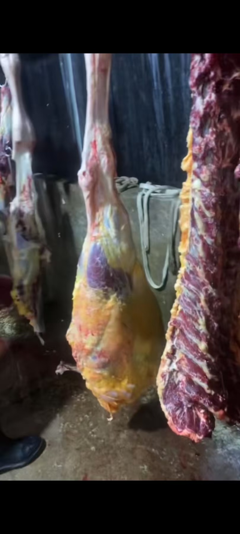 现宰新鲜黄牛肉一手货源量大从优质量保证诚信经营欢迎咨询