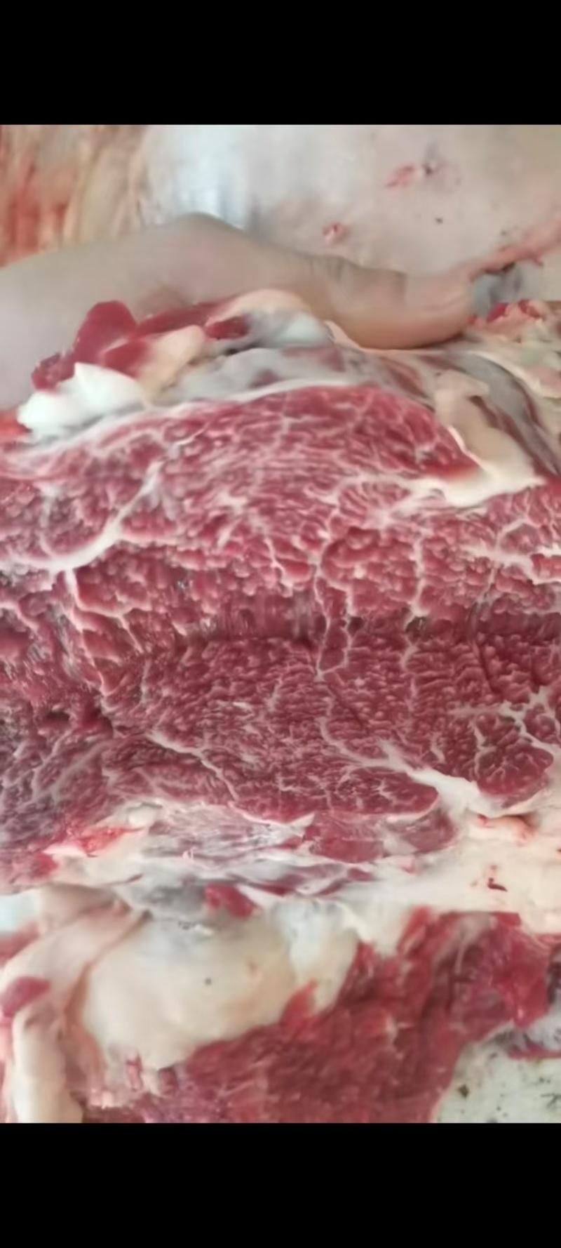 现宰新鲜黄牛肉一手货源量大从优质量保证诚信经营欢迎咨询