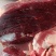现宰新鲜黄牛肉一手货源量大从优质量保证诚信经营欢迎咨询
