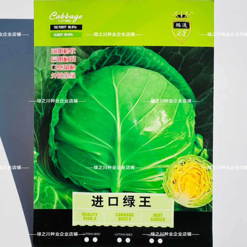 进口高抗绿王甘蓝种子口感甜脆外球全绿圆包菜种子松软耐裂