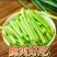 红帽蒜苔新鲜优质源头批发量大价优全国配送