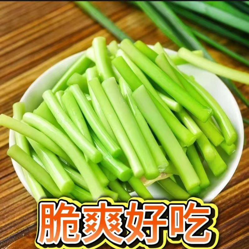 红帽蒜苔新鲜优质源头批发量大价优全国配送
