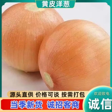 黄皮洋葱耐储精品产地直供价格优势稳定供应