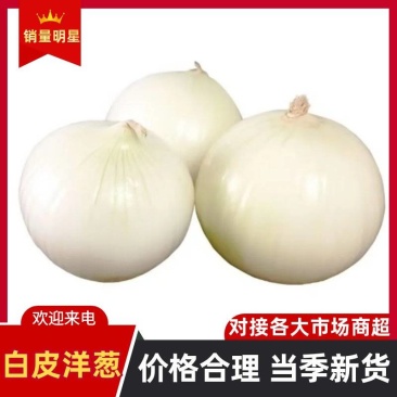 白皮洋葱脆甜多汁产地直发货源充足价格优势