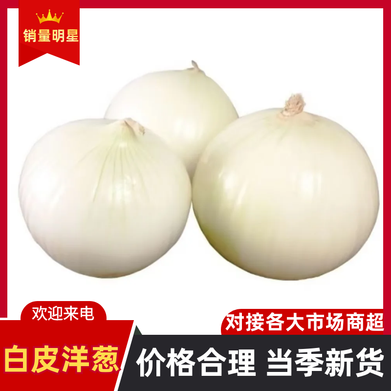 白皮洋葱脆甜多汁产地直发货源充足价格优势
