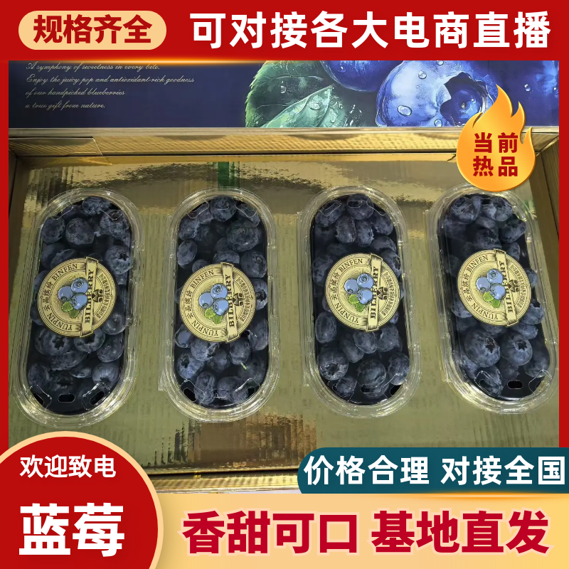 云南蒙自花香蓝莓纯甜无酸