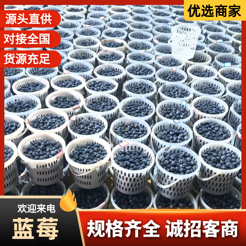 云南蒙自花香蓝莓纯甜无酸
