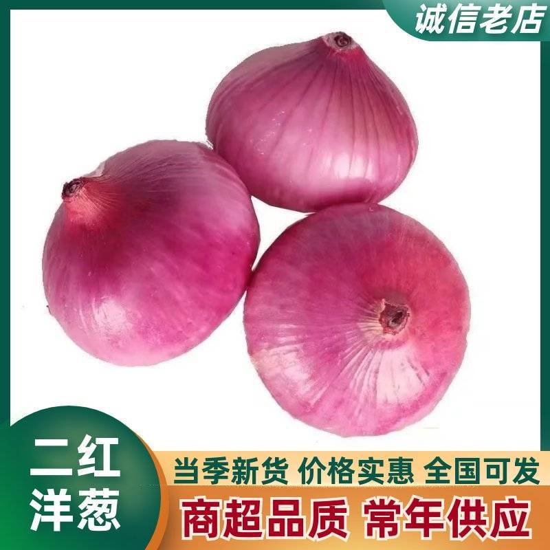 精品二红洋葱红皮洋葱产地一手货源价格优势长期稳定供应
