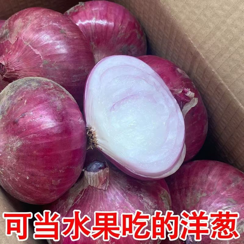 精品二红洋葱红皮洋葱产地一手货源价格优势长期稳定供应