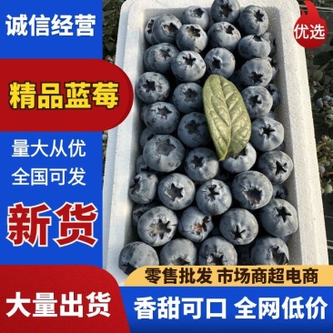 云南蒙自花香蓝莓纯甜无酸