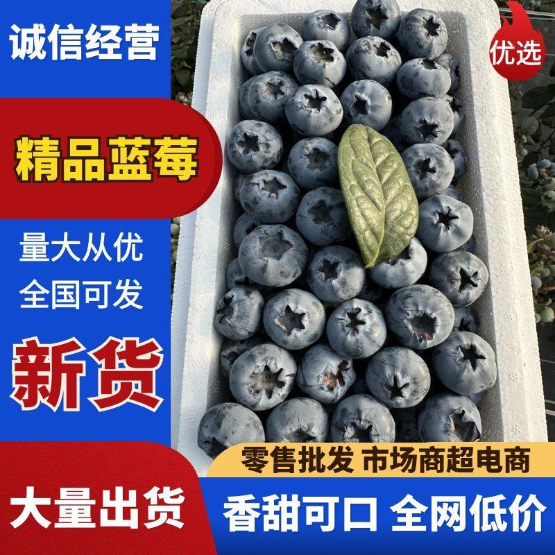 云南蒙自花香蓝莓纯甜无酸