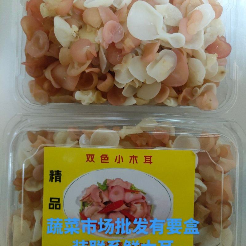 粉木耳