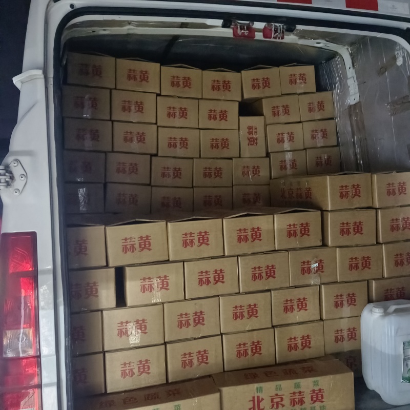 精品蒜黄，基地直发