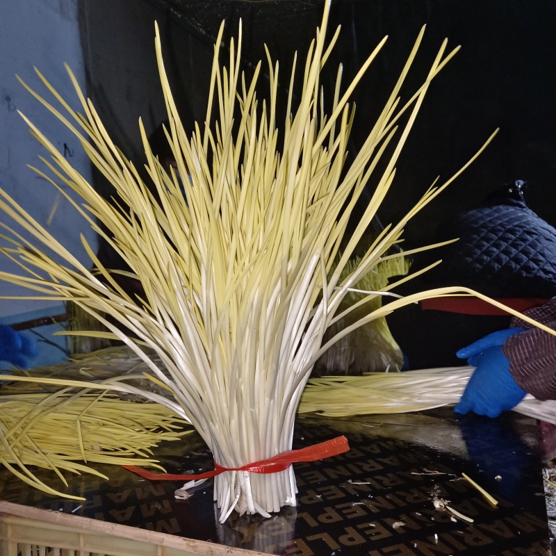 精品蒜黄，基地直发