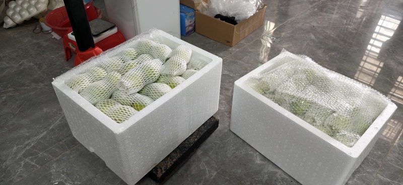 青枣自家种植颗粒度，饱满度，重量可选价格可谈