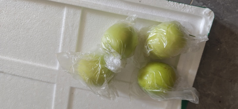 青枣自家种植颗粒度，饱满度，重量可选价格可谈