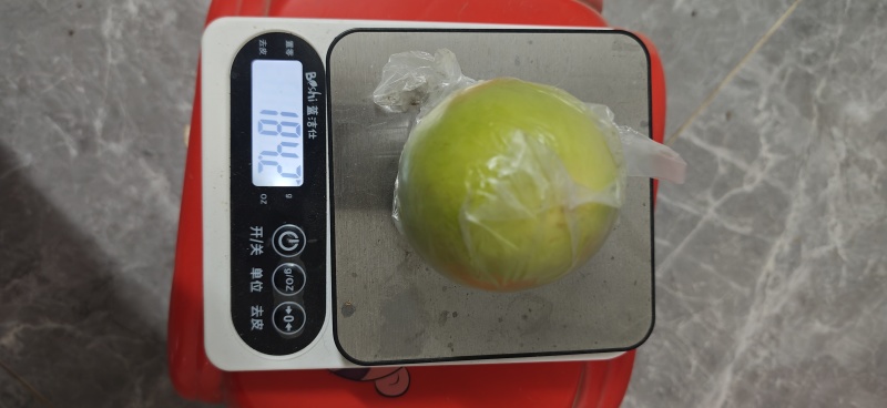 青枣自家种植颗粒度，饱满度，重量可选价格可谈