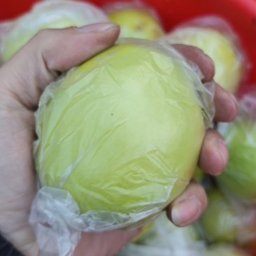 青枣自家种植颗粒度，饱满度，重量可选价格可谈