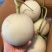 玉茹甜瓜，大量现货速发，产品保质保量欢迎老板选购