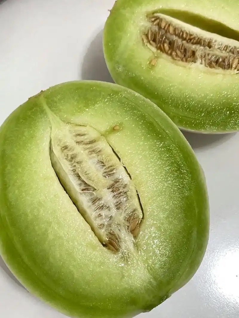 玉茹甜瓜，大量现货速发，产品保质保量欢迎老板选购