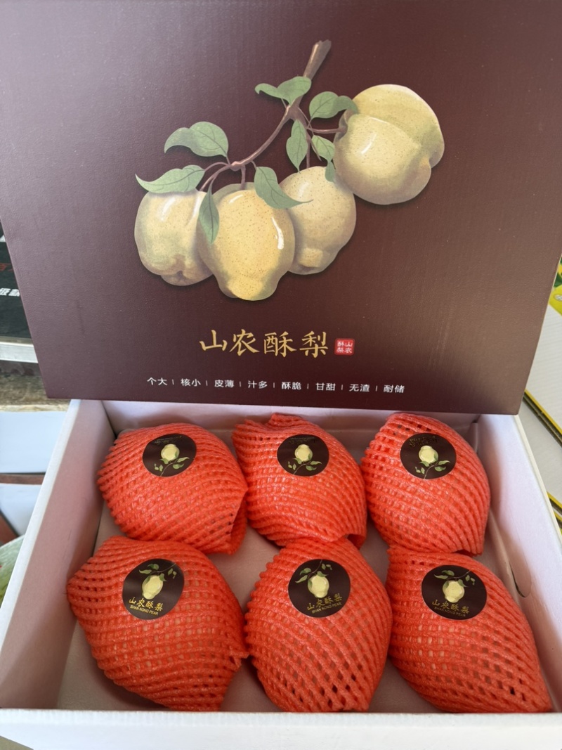 山农酥梨/产地一手货源，可对接商超，批发。