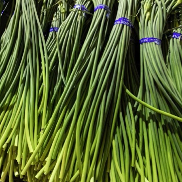 蒜苔，一件代发，春节不打烊