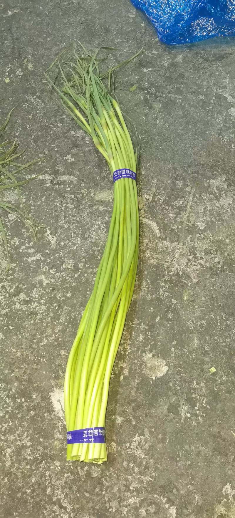 蒜苔，一件代发，春节不打烊