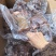 全熟牛头肉，一件50斤左右火烧褪毛，全熟去油去淋巴