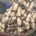 阜南精品连藕白条形好品质好，质量好货源充足诚信经营