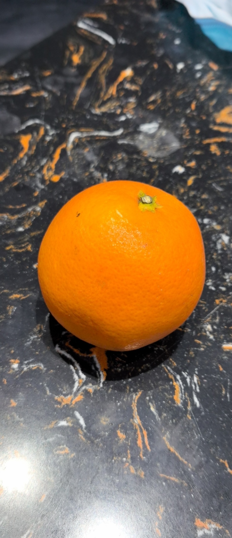 血橙