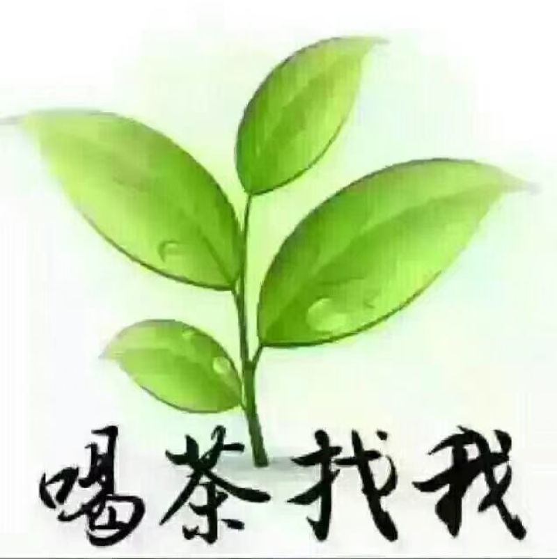 惠州特产送礼商用茶广东柏塘山茶礼盒高档绿色通用茶