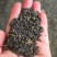 惠州特产送礼商用茶广东柏塘山茶礼盒高档绿色通用茶