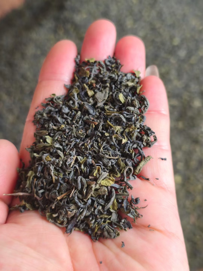 惠州特产送礼商用茶广东柏塘山茶礼盒高档绿色通用茶