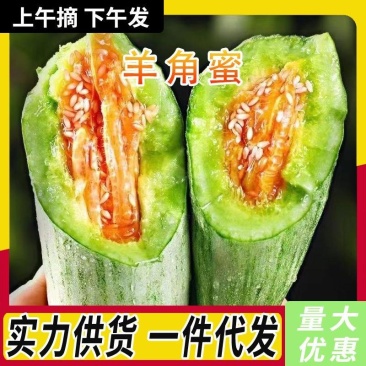 博洋61甜瓜大量上市，全国发货，欢迎进店沟通。